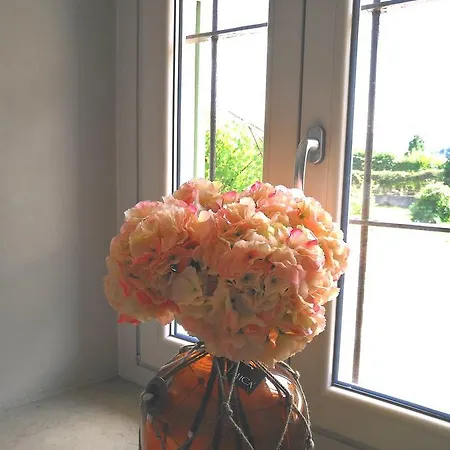 Madama Granèt Couette-café